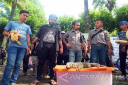 Komunitas Penyayang Binatang Jember Ajak Masyarakat Sayangi Hewan (Video)