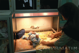 Polisi Selidiki Orang Tua Pembuang Bayi di Bangkalan