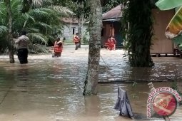 BPBD Penajam Data Warga Terdampak Banjir Lawe-Lawe