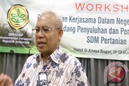 Kementan Sinergikan Fungsi Penyuluhan Dan Program  Teknis
