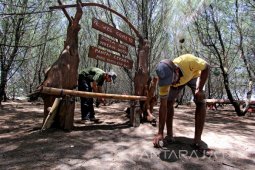Zona Inti Hutan Kota