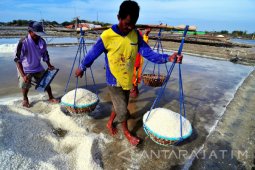 Produksi Garam Pamekasan 6.541,25 Ton
