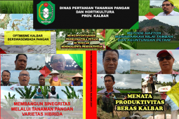 Daftar Siaran Features Dinas Pertanian Tanaman Pangan dan Hortikultura Kalbar