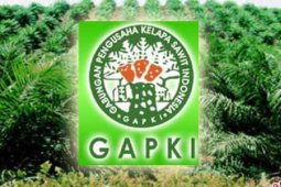 Indonesia needs to strengthen palm oil diplomacy