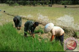 TNI Sahabat Petani
