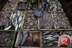 Pemkab Tangerang Sosialisasikan Gerakan Makan Ikan