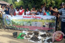 Ribuan Ekor Tikus Berhasil Dibasmi