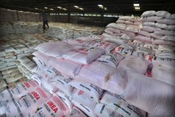 Pemkab Lebak Targetkan Jadi Lumbung Pangan Nasional