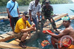 Keramba Teluk Pangdam di Lifumatola Sungguh Menjanjikan