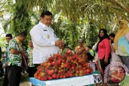 Bupati Bertekad Bangun Bumi Perkemahan