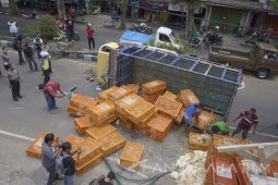 Truk Muatan Ayam Terguling