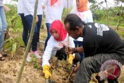 Komunitas GMSS-SKM Samarinda Kembangkan Pusat Pembibitan