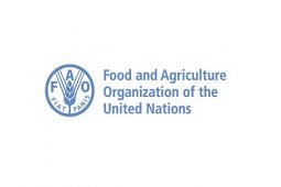 FAO and WHO support Indonesia to control antimicrobial resistance