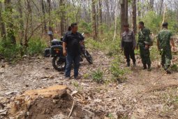 Oknum Polisi di Situbondo Diduga Terlibat Pembalakan Liar (Video)