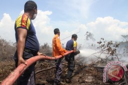 Sepuluh damkar padamkan karhutla di dekat Rindam, Aceh Besar