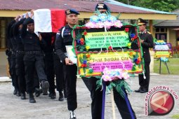 PPAD: KKB di Papua lebih dari teroris