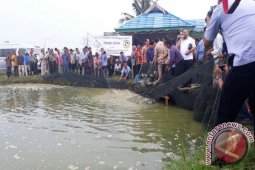 DPR minta bungkil sawit dijadikan pakan ikan