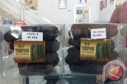 Pedagang di Pangkalpinang Kesulitan Penuhi Permintaan Teripang