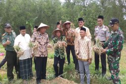 Bupati Sampang Ingin Perluas Tanaman Bawang Merah