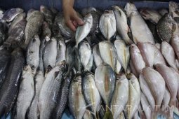 Stok Ikan Di Pasar Terbatas