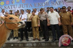 Mentan Minta BKSU Kreatif Dalam Pengembangan Sapi