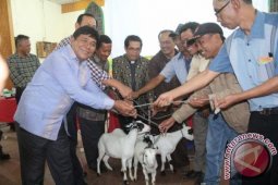 PGTS Sosialisasikan Manfaat Pohon Kaliandra di Samosir