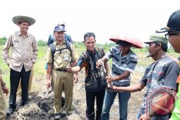 Bupati Hadiri Pencanangan Pengendalian OPT