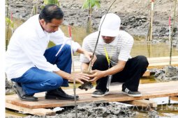 Presiden Enggan Indonesia hanya Peringkat 72 Kemudahan Berusaha