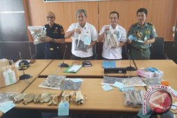 BKSDA Ungkap Perdagangan Organ Beruang Madu