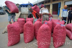 Harga Bawang Merah Naik