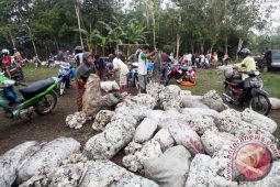 Balangan to Gets Investor Building Rubber Industry
