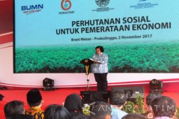 Menteri Siti Nurbaya Puji Keberhasilan Perhutanan Sosial di Kabupaten Probolinggo