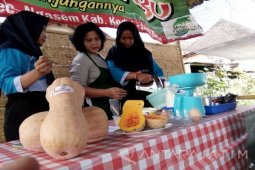 Labu Madu Sukses Dikembangkan Petani di Kabupaten Kediri