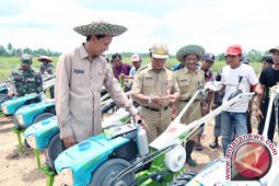 Pemkab berikan bantuan Alsintan untuk petani cabai