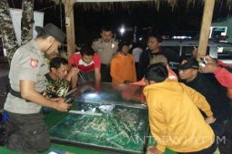 Sembilan Pendaki Terjebak di Gunung Kelud