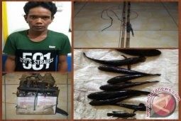 Polsek Danau Panggang Tangkap Pelaku Penyetruman Ikan