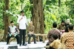 Tinjau Perhutanan Sosial Jokowi "Blusukan" ke Wungu Madiun (Video)