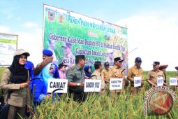 Petani Daerah Lebak Sukses Buka Lahan Tidur