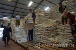 Serapan Rendah, Bulog Tulungagung Revisi Target