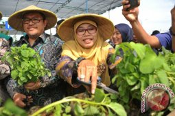 Jabar Kontributor Terbesar Swasembada Pangan Nasional