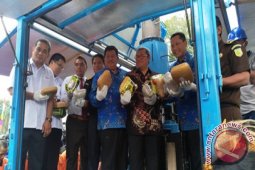 Hari Pahlawan BNN Musnahkan Berbagai Jenis Narkotika
