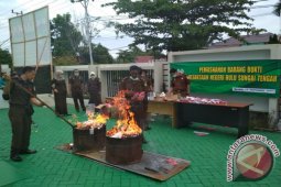 Kejari HST Musnahkan 45.006 Butir Carnophen
