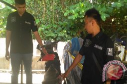 Kemenlu Ingin Adanya Peningkatan Kerja Sama dengan Australia