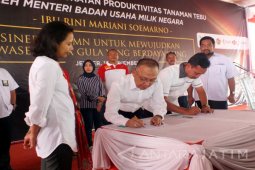 PTPN XI Kerja Sama Mitra Tani Dua Tujuh Untuk Kembangkan Bisnis Edamame