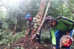 Warga Pematang Rahim tunggu SK hak kelola hutan gambut