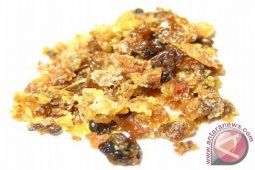 PBB: produksi opium Afghanistan capai rekor tertinggi pada 2017