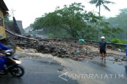 BPBD Kediri: Waspadai Pohon Tumbang dan Longsor saat Hujan