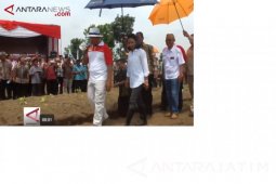 (Video) Tingkatkan Produktivitas Tebu Wujudkan Swasembada Gula