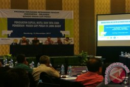 Penguatan Pakan Menekan Biaya Produksi Peternak Sapi