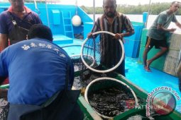 AHY: Pemerintah harus dorong pengelolaan laut Maluku